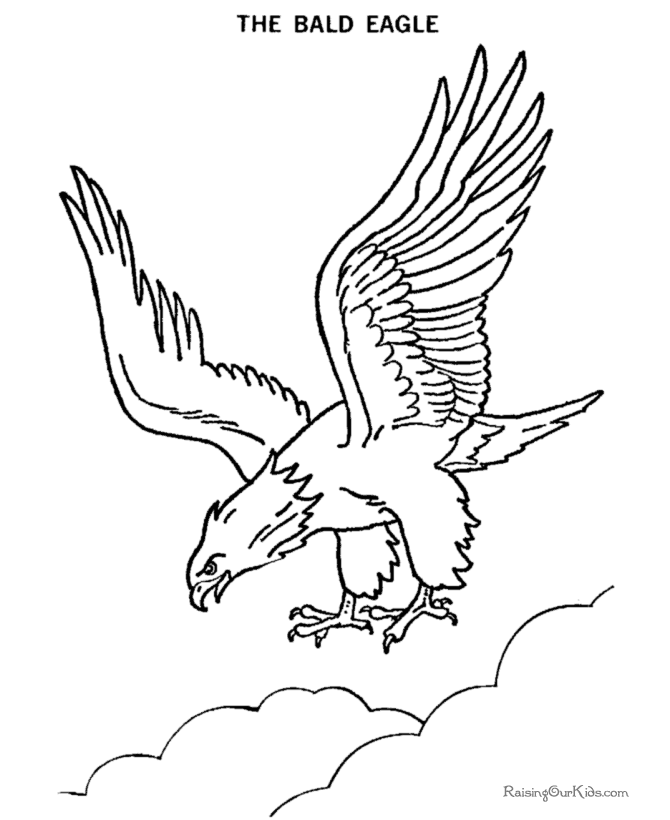 Bald eagle drawing and coloring pages