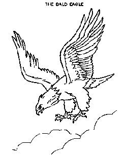 Eagle coloring pages and drawing